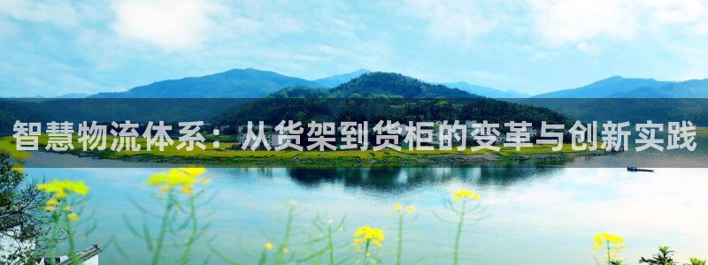 杏运平台注册：智慧物流体系：从货架到货柜