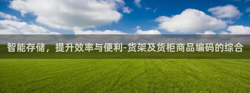 杏运体育娱乐：智能存储，提升效率与便利-