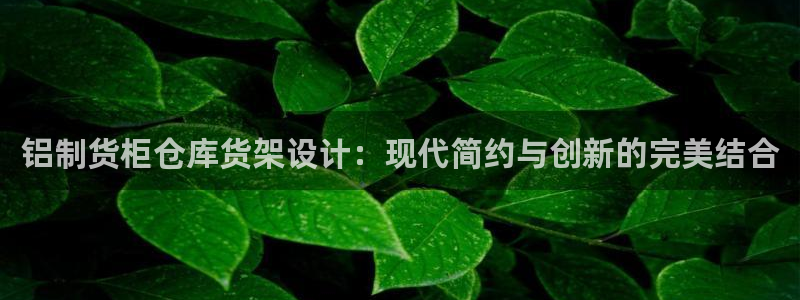 杏运体育官方网址：铝制货柜仓库货架设计：