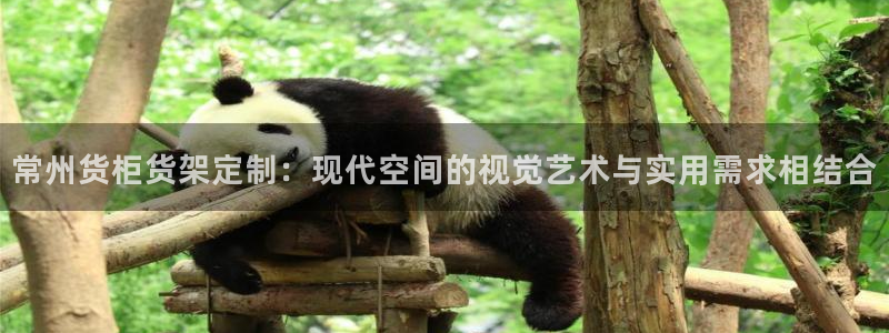 杏运体育网：常州货柜货架定制：现代空间的