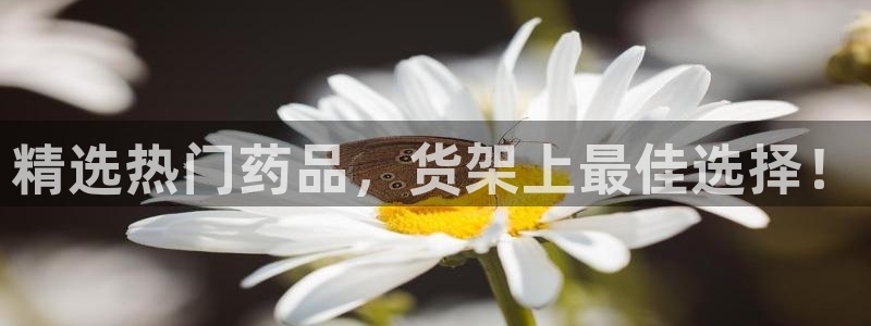 杏运汽车：精选热门药品，货架上最佳选择！