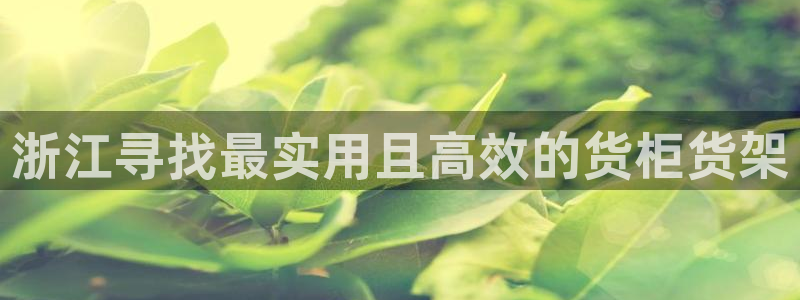 杏运相伴：浙江寻找最实用且高效的货柜货架