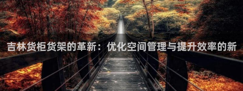 杏运代理：吉林货柜货架的革新：优化空间管