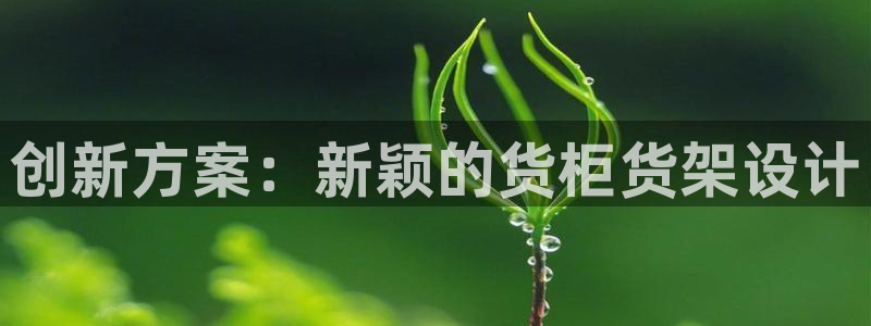 杏运注册：创新方案：新颖的货柜货架设计