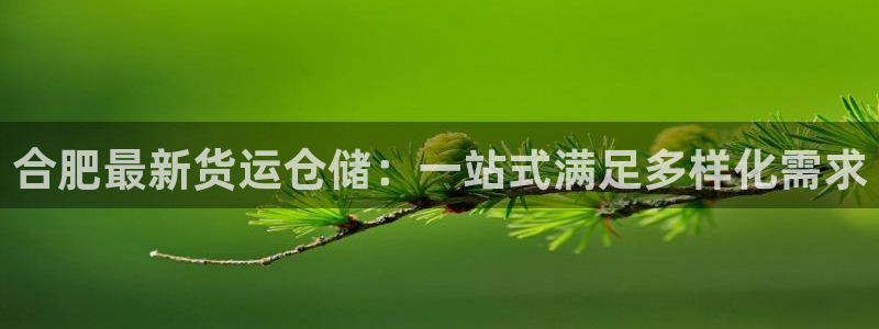 杏运体育app下载安装手机版：合肥最新货