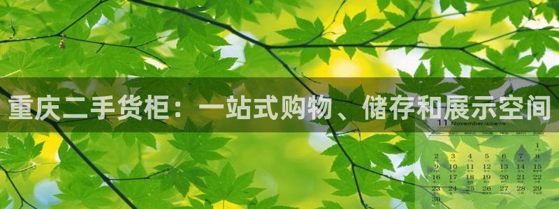 杏运汽车招商：重庆二手货柜：一站式购物、