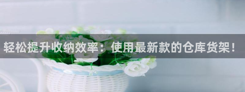 杏运体育app：轻松提升收纳效率：使用最