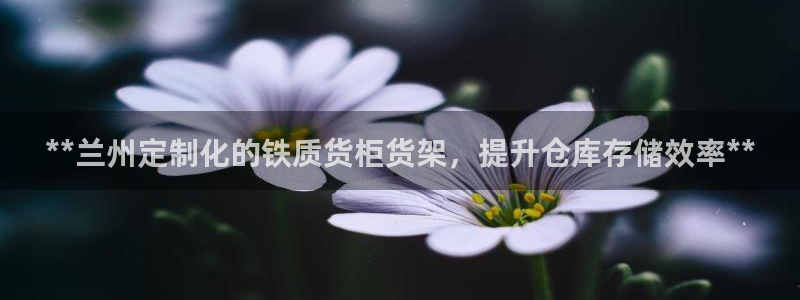 杏运娱乐怎么样：**兰州定制化的铁质货柜