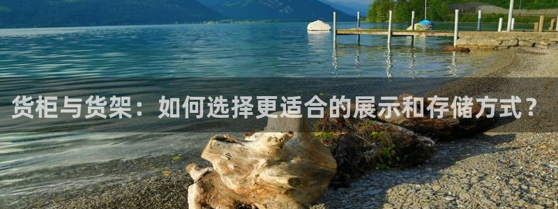 杏运平台登陆：货柜与货架：如何选择更适合