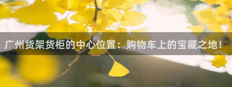 杏运体育app：广州货架货柜的中心位置：