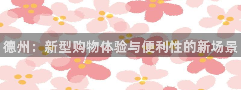 杏运平台招商：德州：新型购物体验与便利性