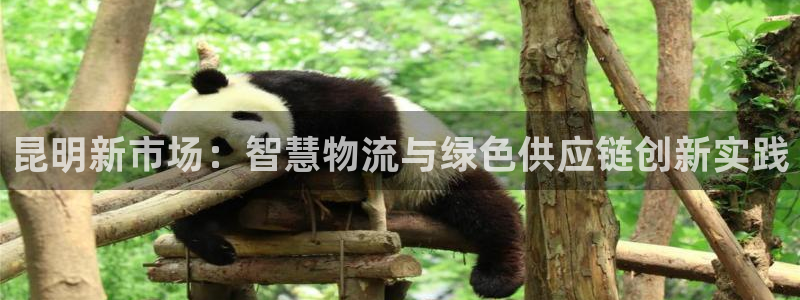 杏运体育app下载安装：昆明新市场：智慧