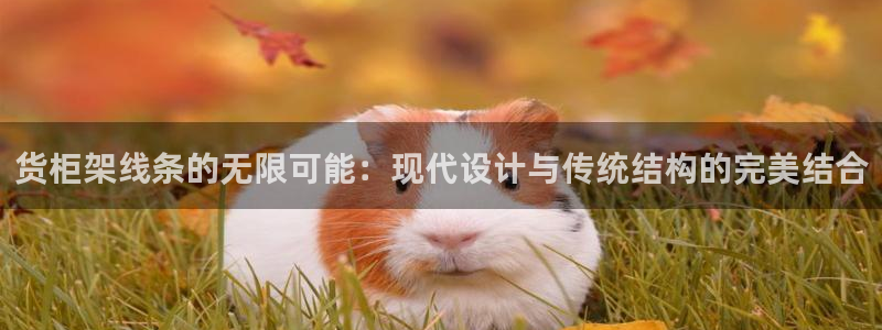 杏运平台招商：货柜架线条的无限可能：现代