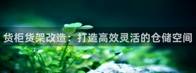 杏运体育官方网址登录