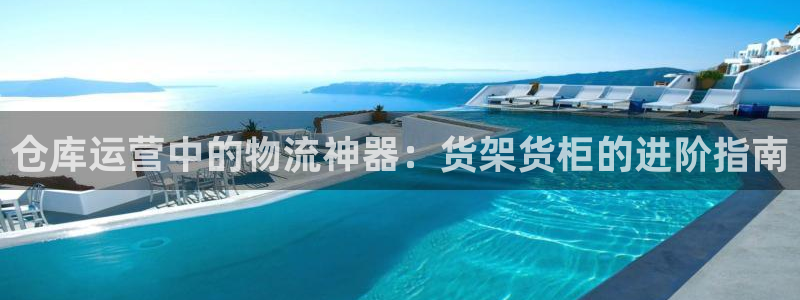 杏运平台登陆：仓库运营中的物流神器：货架